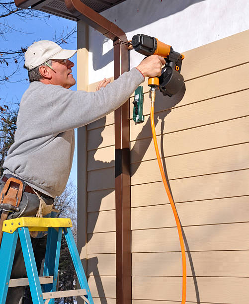 Best Steel Siding Installation  in Hutchinson, MN